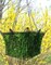 14&#x22; Metal and Coco Moss Hanging Basket - SQUARE